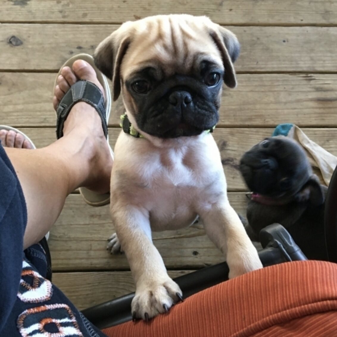 Charlie